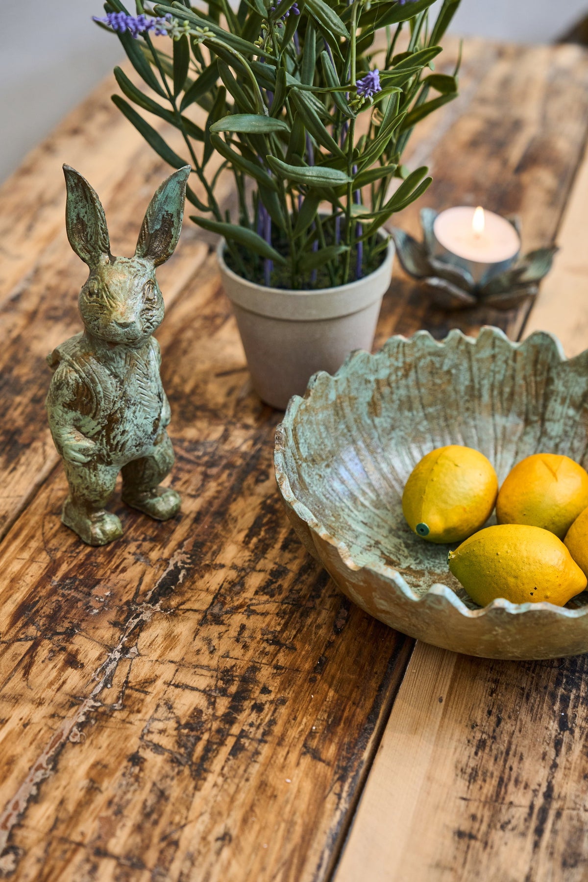 Lotusblomst i metallook ved hare, plante og skål med citroner