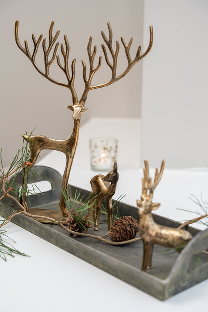 Gyldne hjorte og krondyr på bakke med grene